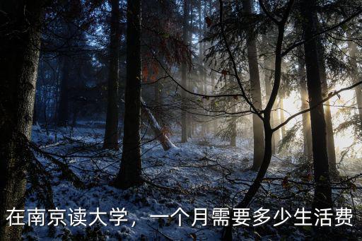 在鹽城上大學要多少錢一個月,在南京讀大學