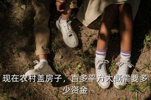 無錫農村房子大概多少錢,百多平方大概需要多少資金
