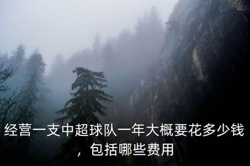 經營一支中超球隊一年大概要花多少錢，包括哪些費用