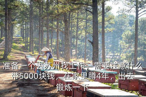 去蘇州見網(wǎng)友準備多少錢,去蘇州旅游需要多少錢