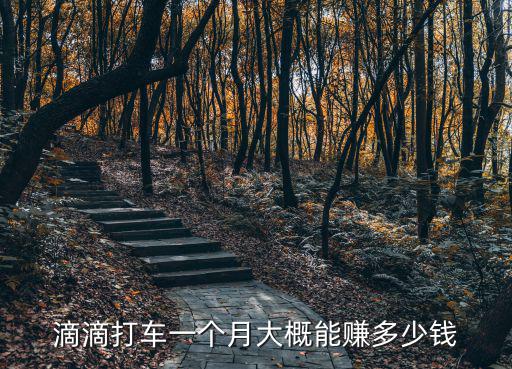 滴滴打車一個月大概能賺多少錢