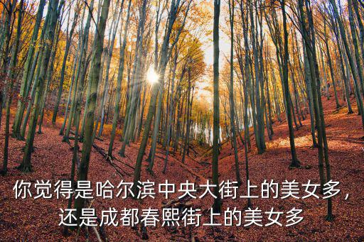 你覺得是哈爾濱中央大街上的美女多，還是成都春熙街上的美女多