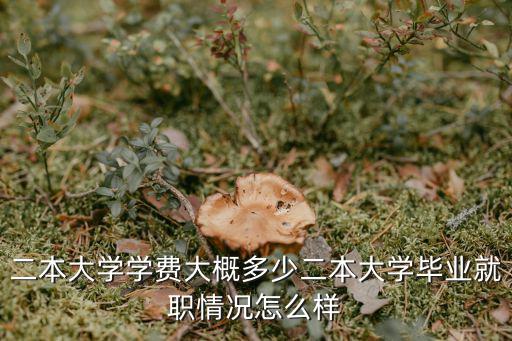 二本大學(xué)學(xué)費大概多少二本大學(xué)畢業(yè)就職情況怎么樣