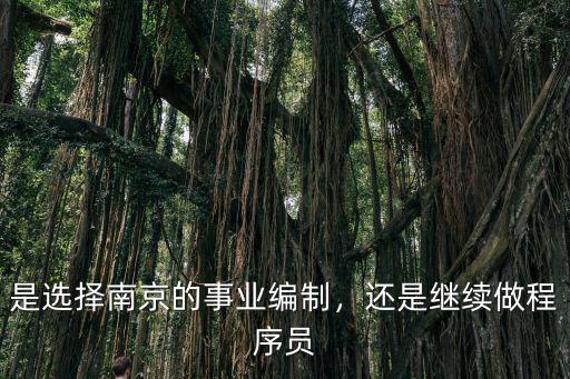 南京事業編制多少錢一個月,是選擇南京的事業編制