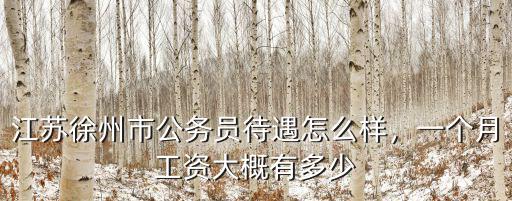 江蘇公務員普遍工資多少,江蘇徐州市公務員待遇怎么樣