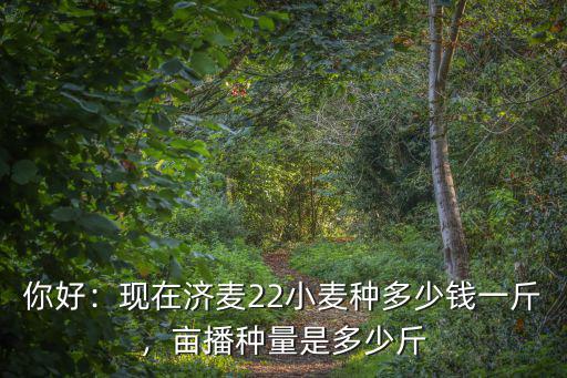 你好：現在濟麥22小麥種多少錢一斤，畝播種量是多少斤