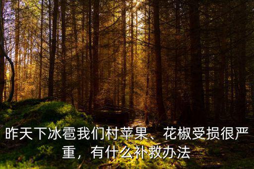 昨天達州哪里下冰雹,昨天保定下特大冰雹