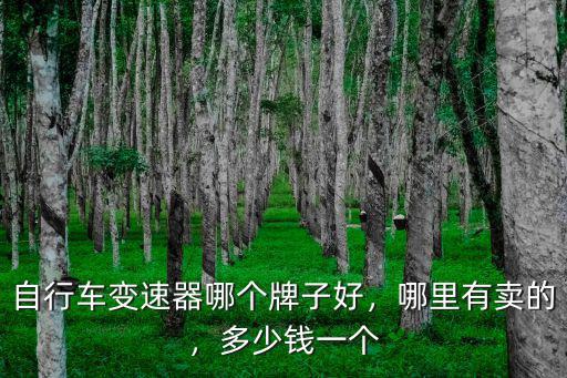 德陽哪里有賣山地自行車的,在哪里買山地自行車好