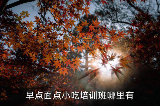 早點(diǎn)面點(diǎn)小吃培訓(xùn)班哪里有