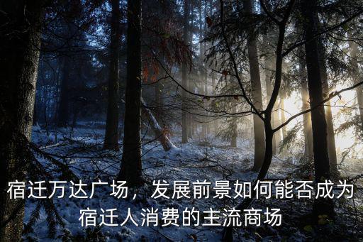 宿遷萬達廣場，發展前景如何能否成為宿遷人消費的主流商場