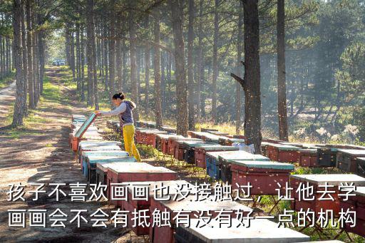 孩子不喜歡畫畫也沒接觸過，讓他去學畫畫會不會有抵觸有沒有好一點的機構(gòu)
