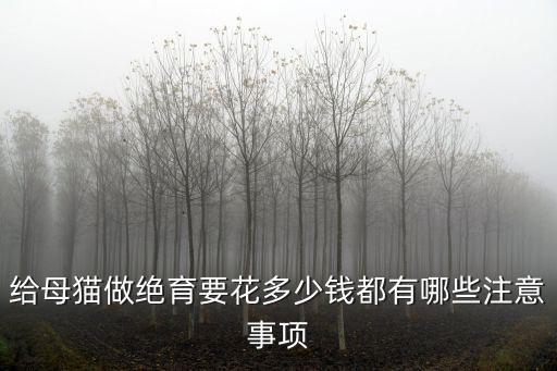常州 絕育 多少錢,公貓絕育多少錢