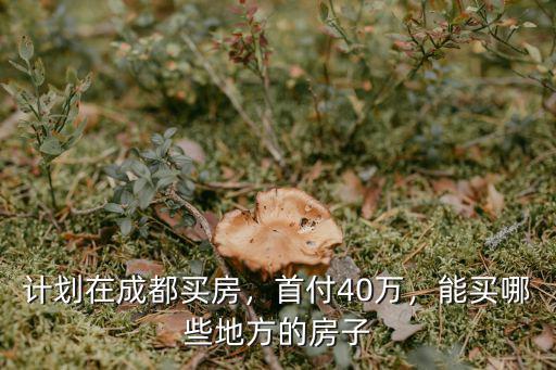 計(jì)劃在成都買(mǎi)房，首付40萬(wàn)，能買(mǎi)哪些地方的房子