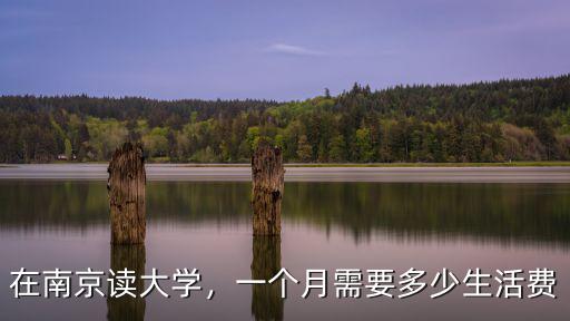 女孩子在南京讀研一月多少錢,在南京上大學一年要花多少錢