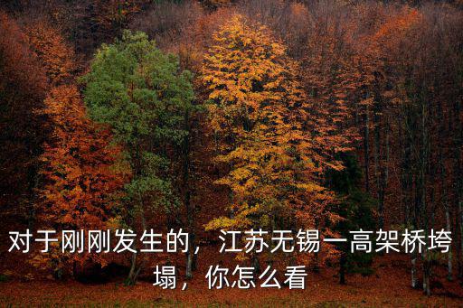 對于剛剛發(fā)生的，江蘇無錫一高架橋垮塌，你怎么看