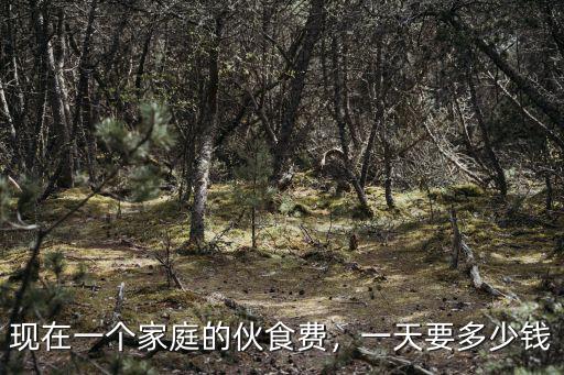 現在一個家庭的伙食費，一天要多少錢