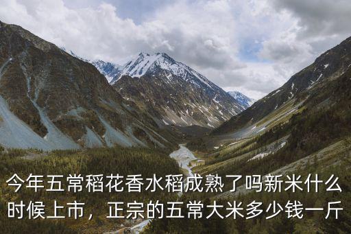 蘇州今年新米多少錢一斤,正宗的五常大米多少錢一斤