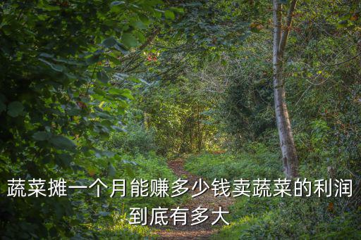 南京蔬菜批發(fā)能賺多少,搞新鮮蔬菜批發(fā)利潤(rùn)多大