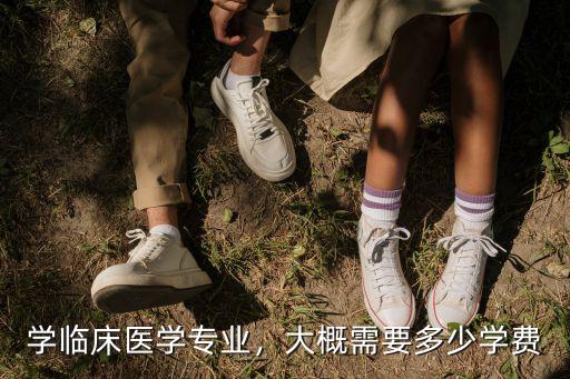 徐州博大一年學(xué)費(fèi)大概多少2020年,大概需要多少學(xué)費(fèi)