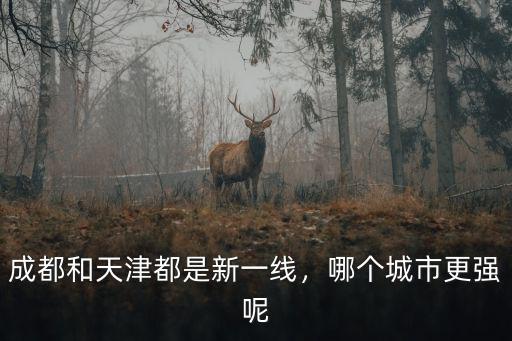 成都和天津都是新一線，哪個城市更強(qiáng)呢