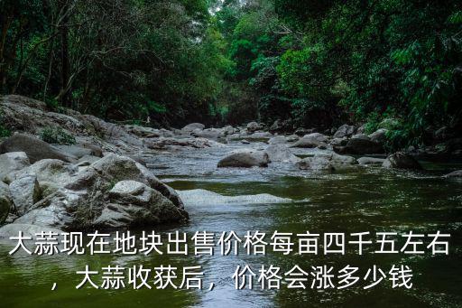 大蒜現在地塊出售價格每畝四千五左右，大蒜收獲后，價格會漲多少錢
