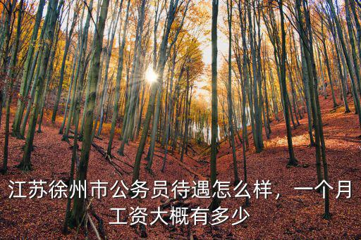 徐州市村內工作人員的工資是多少,農村各村的保潔員工資多少