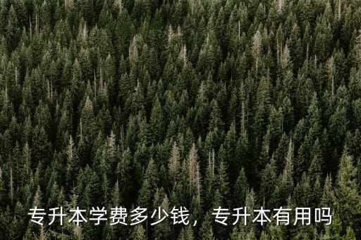 河南專升本需要多少錢,專升本有用嗎