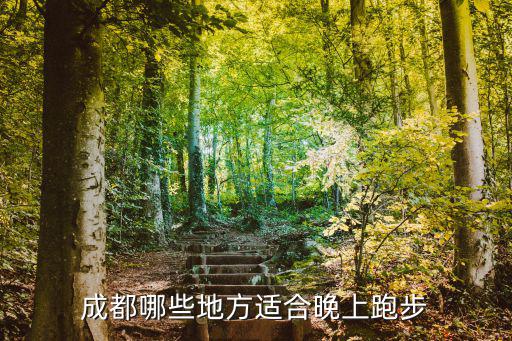 成都哪里夜跑,成都哪里的夜景最漂亮