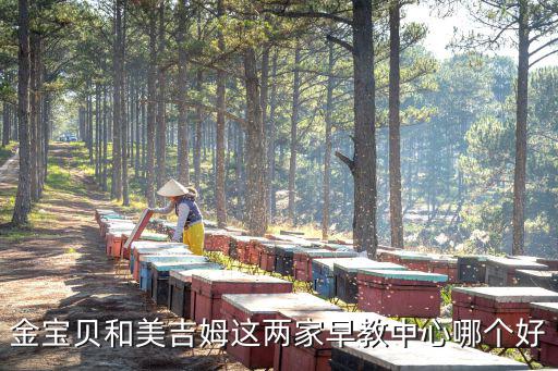焦作金寶貝國際早教怎么樣,想問金寶貝怎么樣
