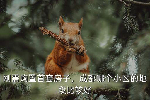 剛需購置首套房子，成都哪個小區的地段比較好
