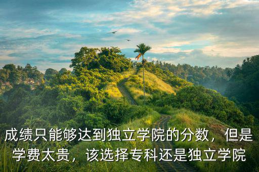 南京大學獨立學院學費多少,但是學費太貴