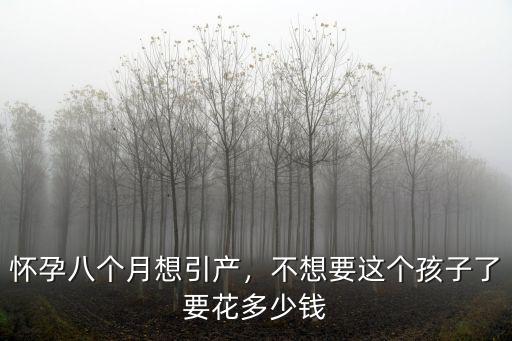 懷孕八個(gè)月想引產(chǎn)，不想要這個(gè)孩子了要花多少錢