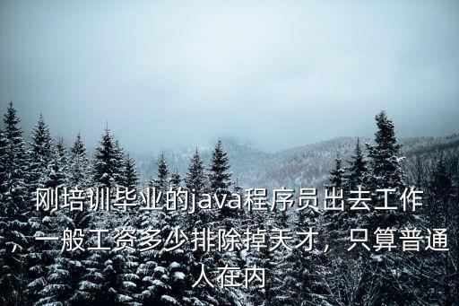 程序員南通工資一般多少錢一個月,一般工資多少