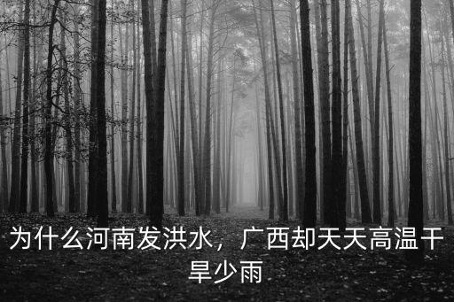 河南發(fā)洪水的樣子怎么樣,為什么河南發(fā)洪水