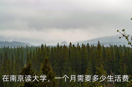 在南京讀大學(xué)，一個月需要多少生活費