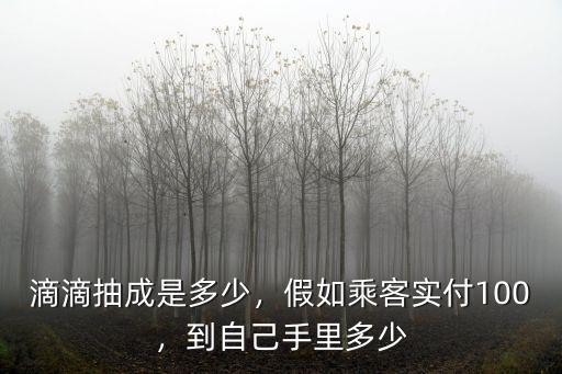 蘇州滴滴平臺抽成多少,滴滴抽成是多少
