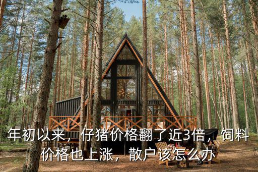 今天仔豬外三元淮安價格多少,仔豬價格居高不下