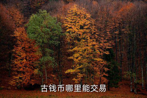 廣安哪里有收古董幣,哪里收購古幣