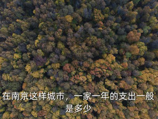 在南京一年支出多少,一家一年的支出一般是多少