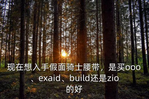 現(xiàn)在想入手假面騎士腰帶，是買ooo、exaid、build還是zio的好