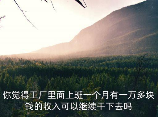 你覺得工廠里面上班一個月有一萬多塊錢的收入可以繼續(xù)干下去嗎