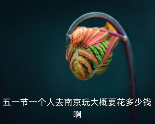 五一節一個人去南京玩大概要花多少錢啊