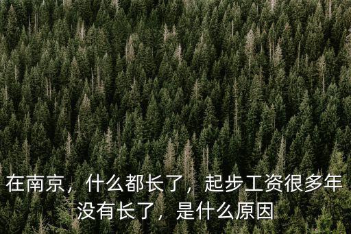 在南京，什么都長了，起步工資很多年沒有長了，是什么原因
