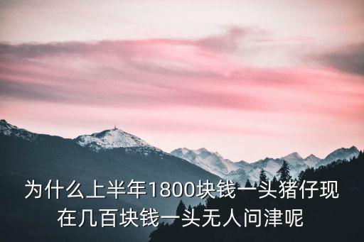 為什么上半年1800塊錢一頭豬仔現在幾百塊錢一頭無人問津呢