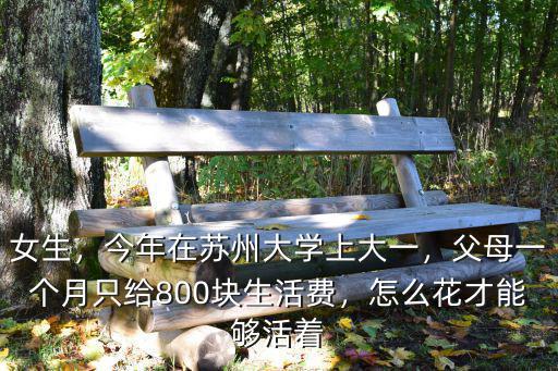 在蘇州大學一個月消費多少錢,我該給多少生活費一個月合適