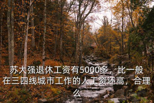 蘇大強退休工資有5000多，比一般在三四線城市工作的人工資還高，合理么