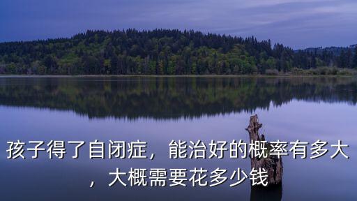 泰州得了自閉癥康復多少錢,大概需要花多少錢