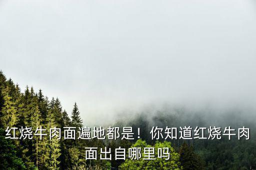 成都在哪里有正宗紅燒牛肉面,紅燒牛肉面遍地都是
