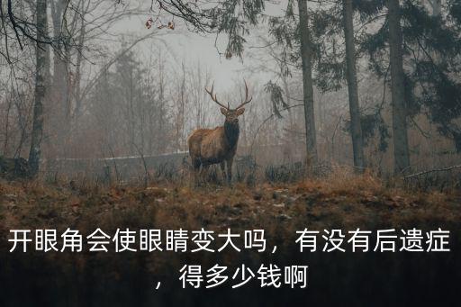 開眼角會使眼睛變大嗎，有沒有后遺癥，得多少錢啊