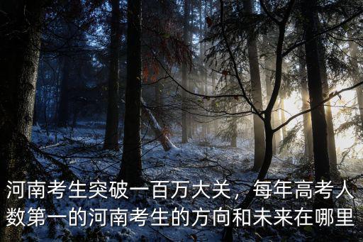 河南每年多少985考生,河南考生多少分能上211